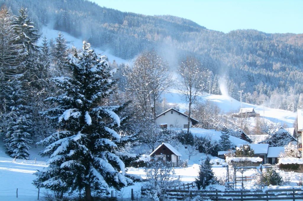 Angerhaus Appartements Sankt Georgen ob Murau Esterno foto